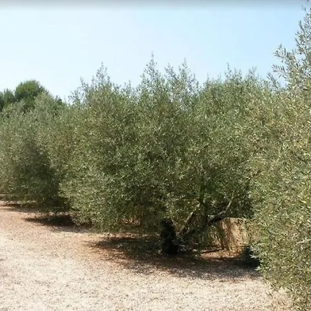 Prázdninový dům Un En Provence - Les Jardins De Fontanille *